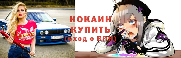 mix Инта