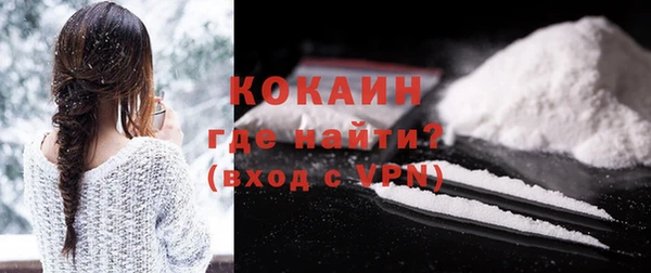 mix Инта