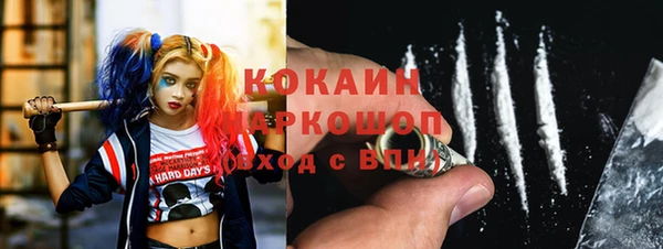 гидра Инсар