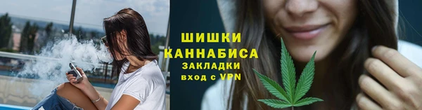 mix Инта