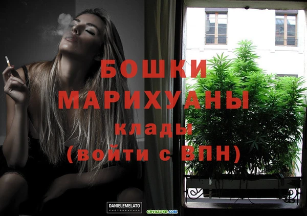 молекула духа Иннополис