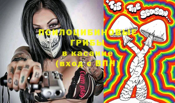 mix Инта