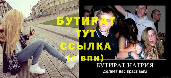 гидра Инсар