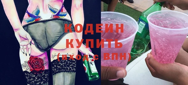 гидра Инсар