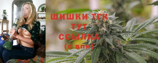 молекула духа Иннополис