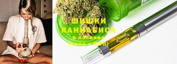 гидра Инсар