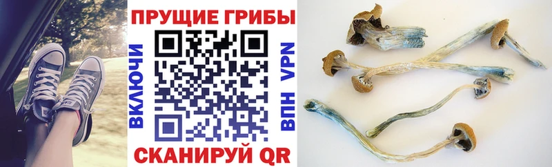 Галлюциногенные грибы GOLDEN TEACHER  Купить  Николаевск 